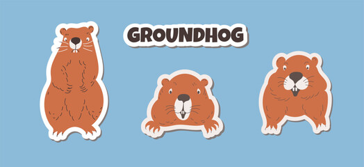  Set stickers Marmot. Cute wild animals. Brown groundhogs. Flat vector illustration of a groundhog isolated