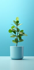 3d model of green plant in plastic pot on a blue background