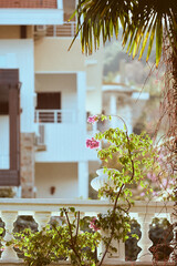 Turkish windows in a creative