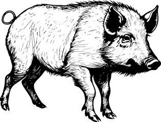 Boar SVG bundle, wild boar SVG, wild boar PNG, wild boar cricut, zoo animal svg, boar laser cut, animal svg, boar clipart, wild pig svg