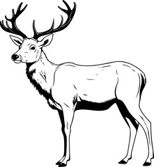 Deer SVG bundle, Deer SVG, deer outline svg, 3d deer svg, deer hunting svg, white tail deer svg, baby deer svg, deer scene svg