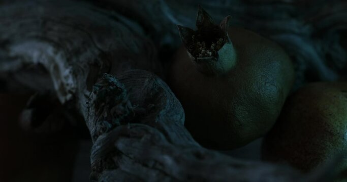 Still Life with Pomegranates and Driftwood in Moonlight. Close-Up tracking shot, DOF.