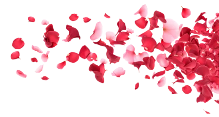 Fototapeten Scattering rose petals in the air, cut out © Yeti Studio