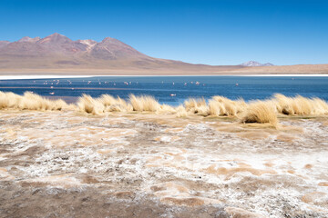 Laguna Cañapa, Bolivia
