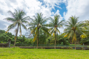 Le Pont de la falaise &agrave; Ajoupa Bouillon en Martinique, Antilles Fran&ccedil;aises.	
