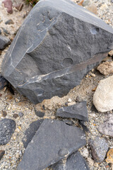 Bivalve fossils in Valley of Ten Thousand Smokes, Katmai National Park and Preserve, Alaska. Fossils found across Katmai are part of Naknek Formation, geologic formation from Jurassic Period.