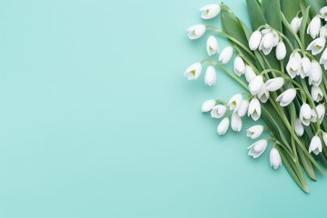 Blooming snowdrop flowers on blue background
