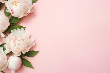Flat lay of white peony flowers with copyspace on pink background