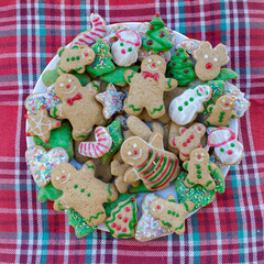 Plate of homemade Christmas gingerbread cookies, top view  
