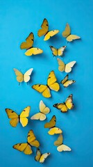 Set of butterflies isolated on blue background. Illustration. butterfly spring illustration