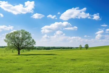 Sunny day on meadow field with green grass and blue sky - obrazy, fototapety, plakaty
