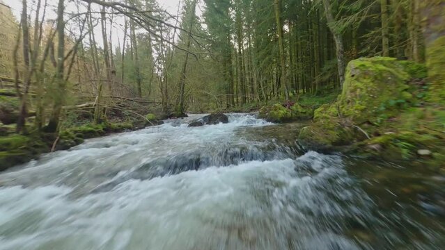 fpv drone flying above Ognon river between branches and under old stone bridge in forest Servance Vosges