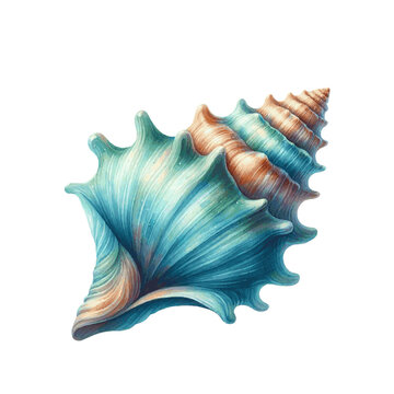 Colorful sea shell watercolor paint. Vector Illustration