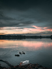 Naklejka premium Beautiful lake with reflections in the water at sunset with spectacular colors. landscape photography