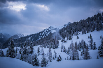 Fototapeta na wymiar Winter { Landschaft