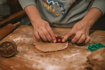 Christmas and New Year celebration traditions. Traditional festive food making, family culinary. Woman cutting cookies of raw gingerbread dough. High quality photo