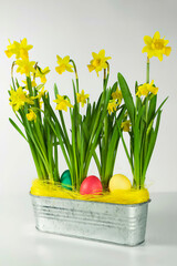 Yellow daffodils with Easter eggs in metallic silver containers.