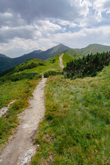 Fototapeta na wymiar Summer in the Western Tatras