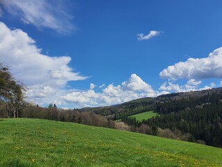 Idyllic austrian landscape: Green rolling hills and blue sky with some white clouds on a summer day. copy space for text