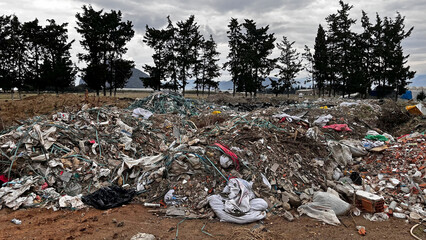 Construction waste dumped in the natural area.