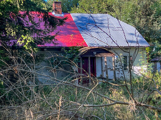 Old abandoned two-family house overgrown with weeds and bushes, Stefankowice, Lublin Voivodeship, Poland - obrazy, fototapety, plakaty
