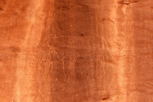 Animal, prehistoric petroglyphs, rock art in Tadrart Rouge, Tadrart Akkak, Sahara, Algeria, horizontal view
