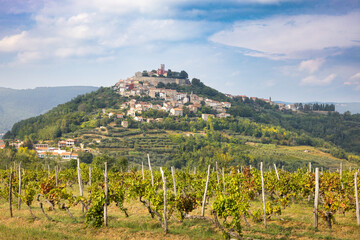The Croatian mountain village Motovun, a vineyard in front. Istria region.
