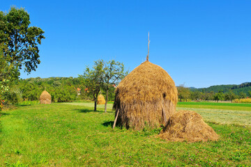 typische Heuschober auf einem Feld in Rumänien - haystacks in a field in Romania