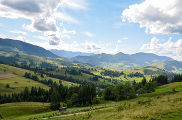 Obraz premium Beautiful view of green grassy valley, trees and mountains landscape on bright summer day under blue sky. Beauty of nature, tourism, traveling and environmental preservation concept. Carpathians
