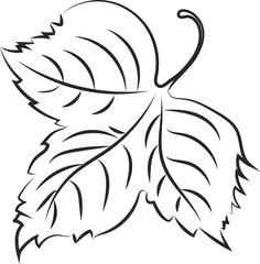 illustration hops on transparent, png, hops plant, hop leaves, hop symbol, beer symbol, brewery emblem