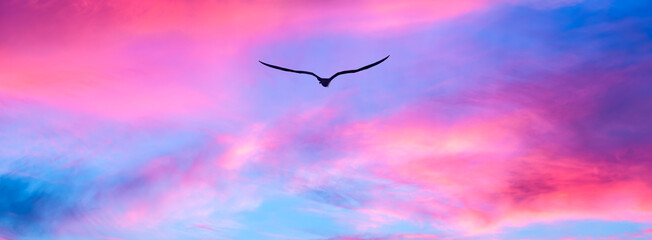Sunset Bird Inspirational Images Flying Silhouette Soaring Colorful Sky Hope Faith Banner Header