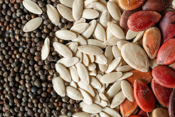top view of several types of seeds: pumpkin seeds, poppy seeds, bean seeds... all forming a multicoloured whole