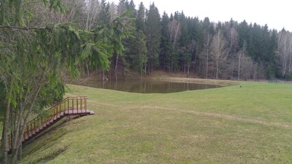 In the city park, the stairs with handrails leading to the grassy meadow are made of wood. Behind the meadow is a pond, and behind it are spruce and birch trees, on which the leaves have not yet bloom