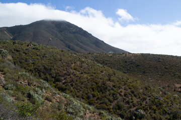 CERRO SANTA IN&Eacute;S