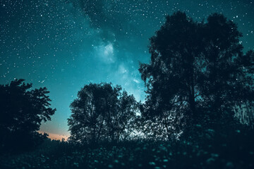 Fototapeta na wymiar Blue dark night sky with many stars above field of trees.