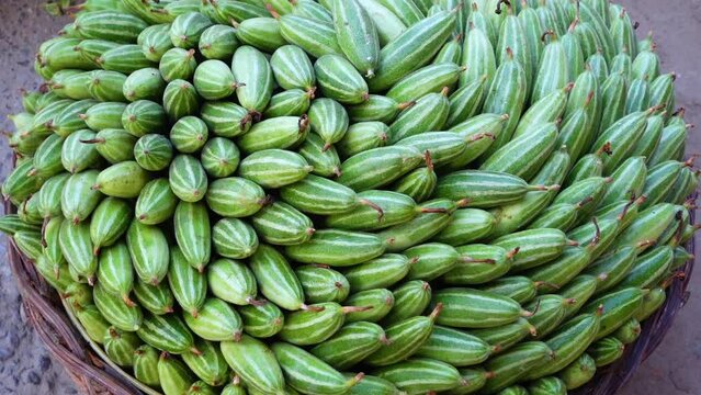 Organic green fresh pointed gourd (Trichosanthes dioica) vegetables arranged in bamboo baskets are kept for sale.