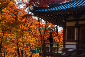 Otagi Nenbutsuji Buddhist temple in Arashiyama area of Kyoto - Powered by Adobe