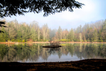 Obraz premium Island in middle lake early morning