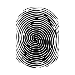 Fingerprint pattern, clear lines and swirls. Human thumbprint. Icon, pictogram, logo. Black and white illustration. Vector isolated on a white background. Security concept. Imprint.