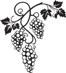 Vine Legacy Grape with Grapefruit Icon Design Harvest Abundance Black Vector Grapevine Emblem