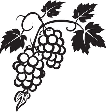 Fruitful Connection Grapevine Black Symbol Vine Legacy Grape with Grapefruit Icon Design