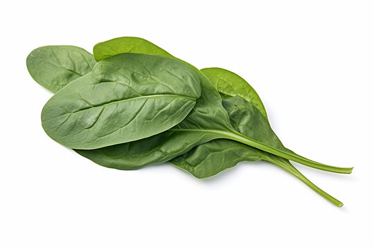 Spinach, white background ,top view , isolated