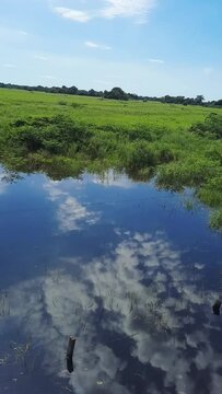 lago na cidade de Corumb&aacute;, regi&atilde;o do Pantanal Sul, Estado do Mato Grosso do Sul, Brasil