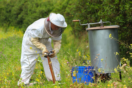 mujer cosecahndo miel de abeja con maquina extractora de miel y un balde de color azul 