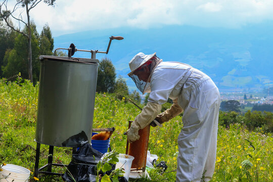 Fotografia de una apicultor agachandose para levantar un panar de abeja cerca de su maquina extractora y con el fondo de las montañas de los andes