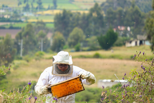 Un joven apicultor retratado mientras cuida una colmena en lo profundo de las montañas de los Andes ecuatorianos. Está vestido con un traje blanco y se le ve extrayendo un panal de una colmena abierta