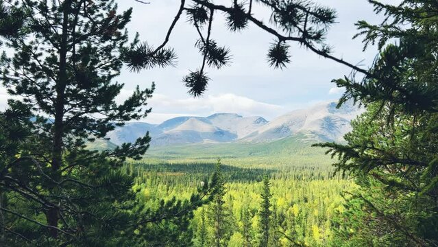 Autumn Arctic landscape in the Khibiny mountains. Kirovsk, Kola Peninsula, Polar Russia. Autumn colorful forest in the Arctic, Mountain hikes and adventures. 4K