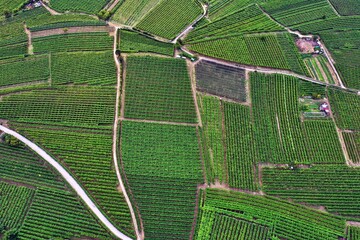Aerial view of Vallagarina near Castel Pietra. Calliano, Rovereto, Trento, Italy