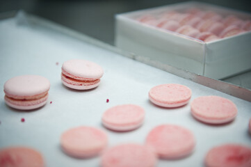 Macaron lids