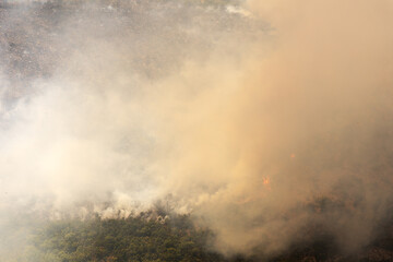 Aerial view of a wildfire with visible smoke and flames, suitable for environmental issues.